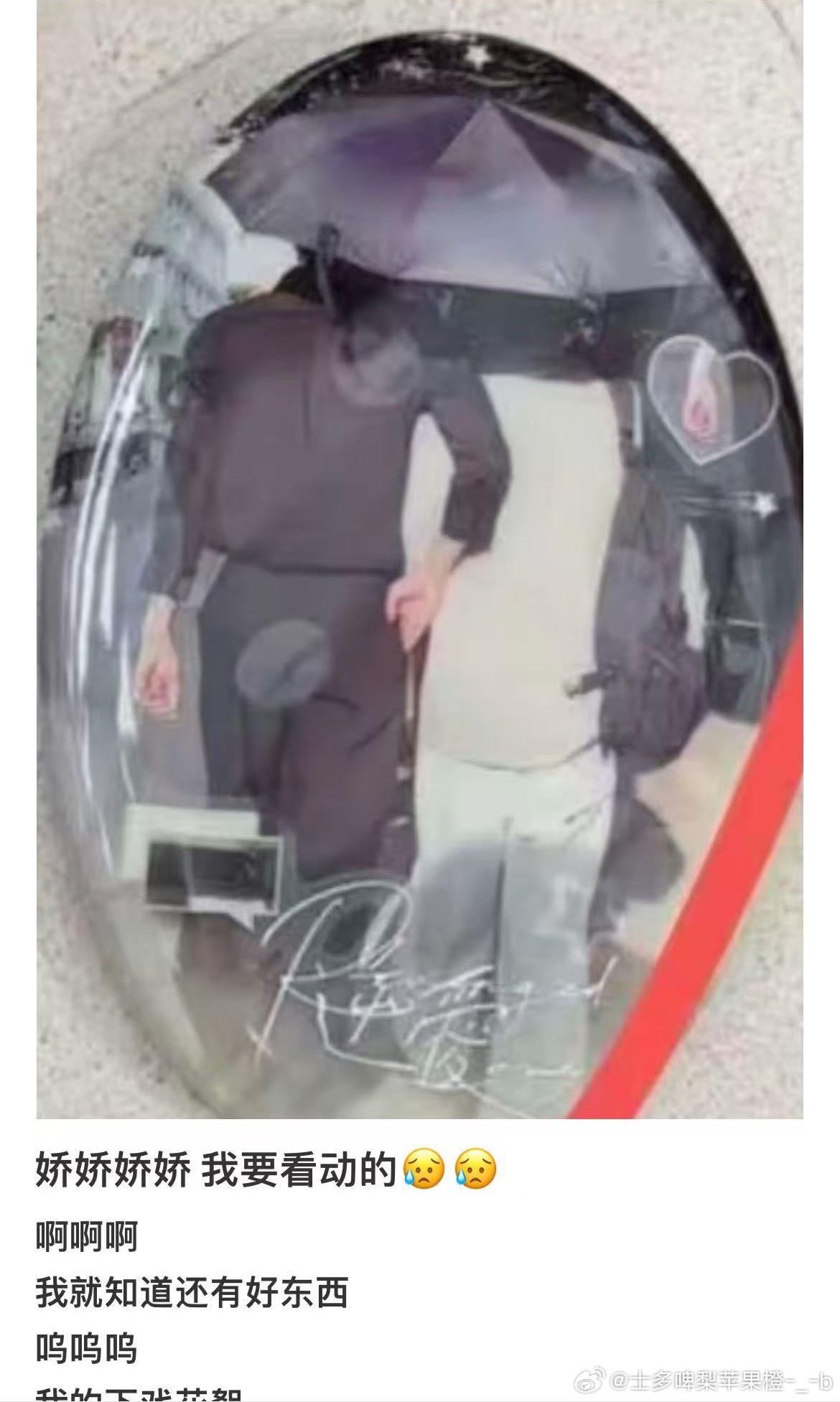 我要看动的！！！！！ 