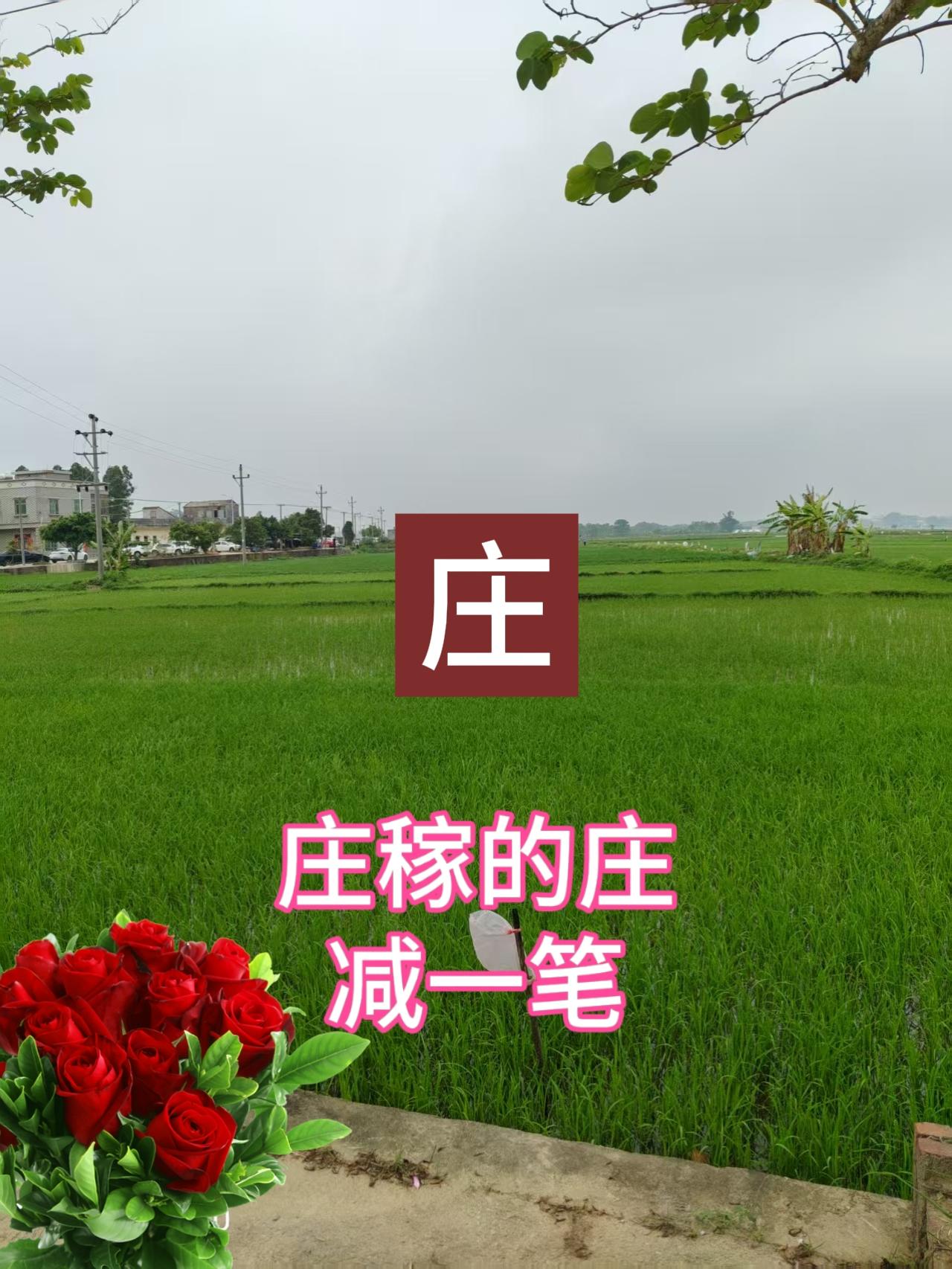 种庄 我的田园家乡 涨知识猜字上热门