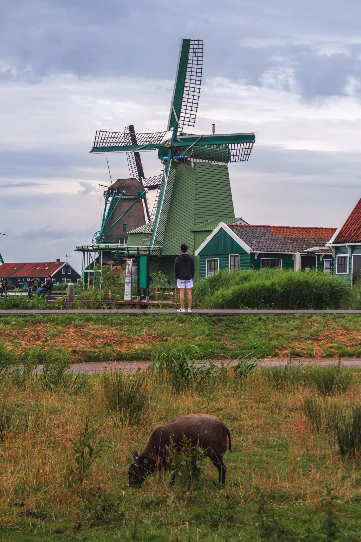 勇敢的人先享受阿姆斯特丹🌷。自由、开放、包容是阿姆斯特丹的代名词。过...