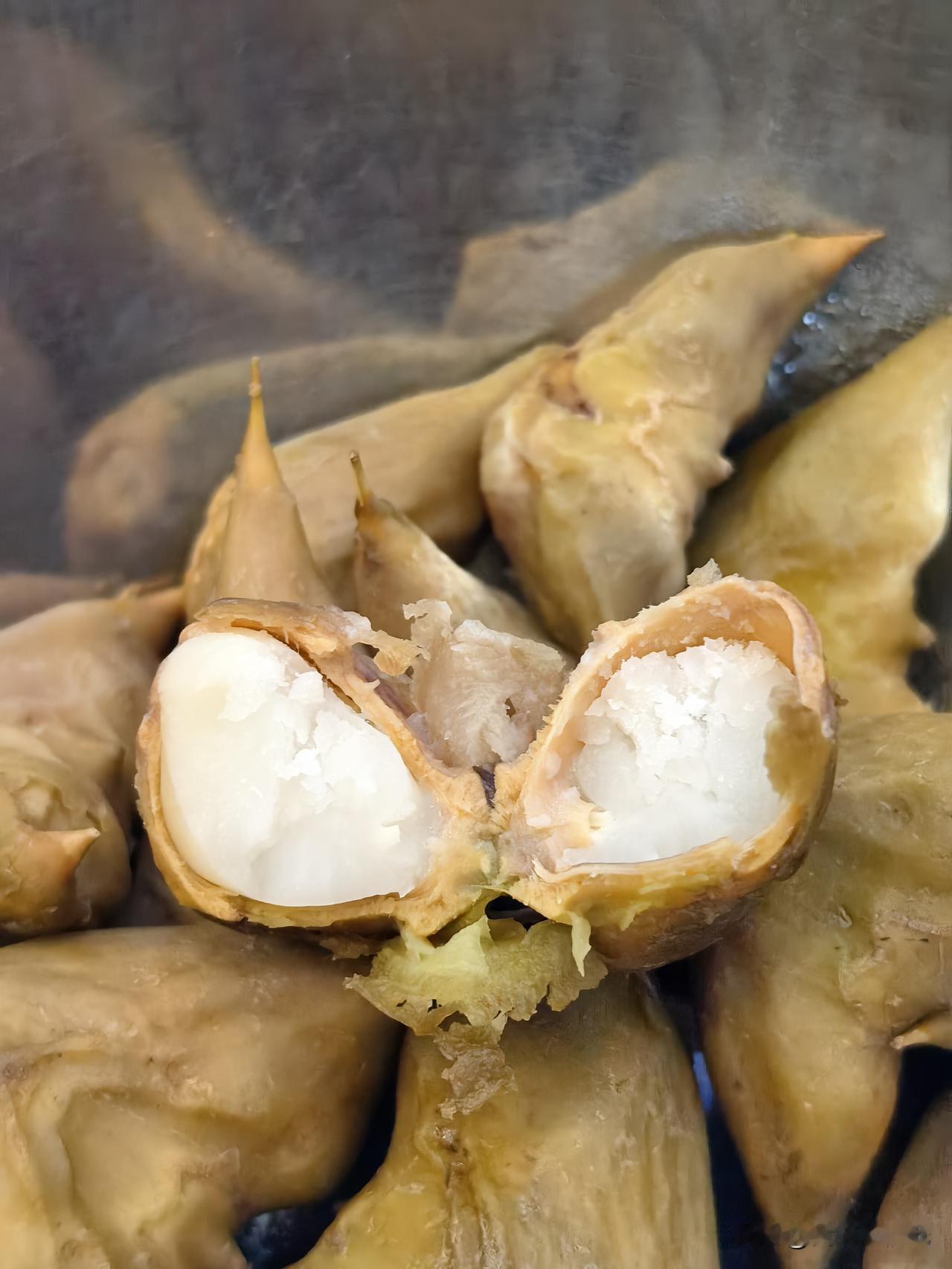 昨天从南京回到西宁，临行前特意准备了些新鲜菱角带回来。这菱角啊，味道是真的鲜美—