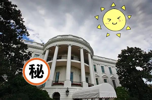 美国白宫传来新消息了！

当地时间11日，美国白宫就乌克兰问题表示，特朗普政府将