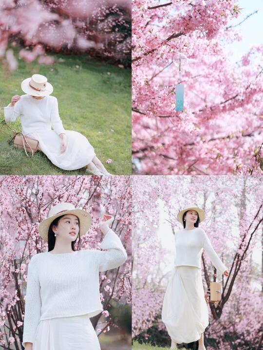 🌸再不拍樱花就来不及了