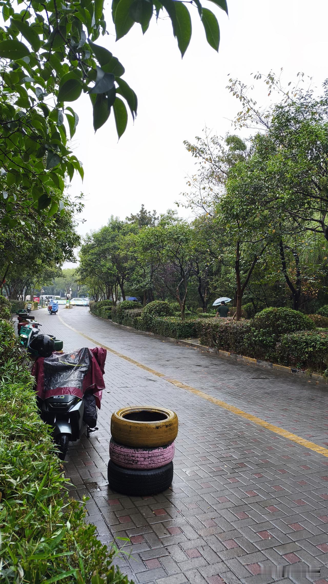 九月份的小雨缠缠绵绵落了快整一周，连风里都裹着潮润的桂香，就盼着老南京说的“一场