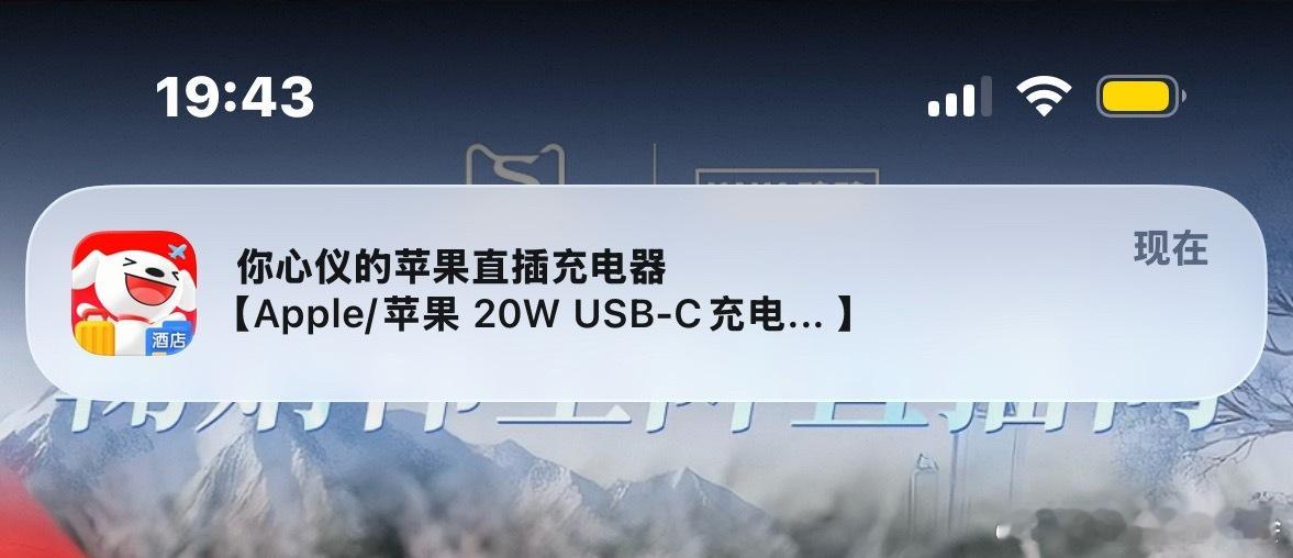 有病吧京东  天天弹窗一百次说我心意的ipad  iPhone  电脑  充电器