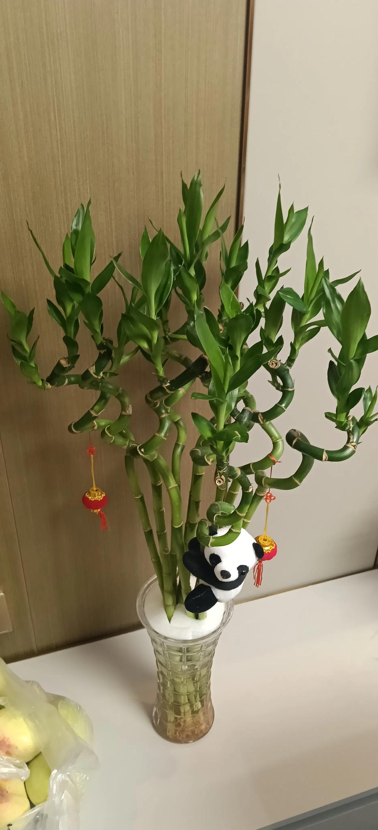 夏日美景随拍