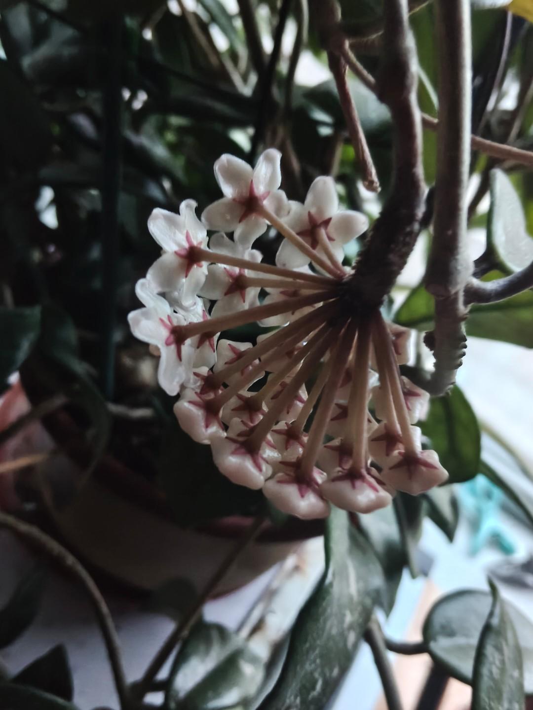 “神兵神将"也救不了的皇帝


北宋末年，金兵大举攻宋，围困了汴梁城。汴梁作为北