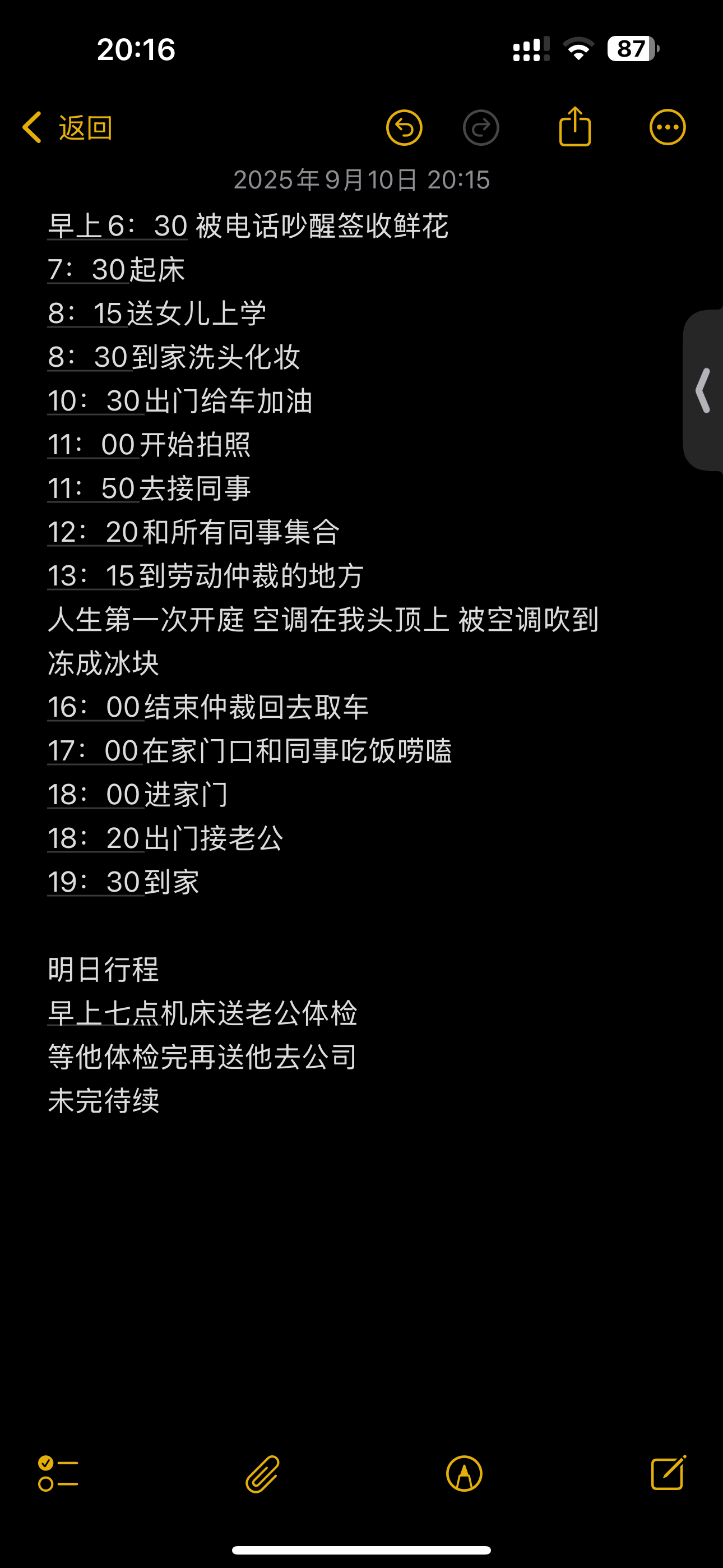 今日份的忙忙碌碌跑成陀螺的一天🫠今天也是人生第一次开庭 人生新体验又➕1虽然但