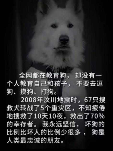 烂透了 ​​​