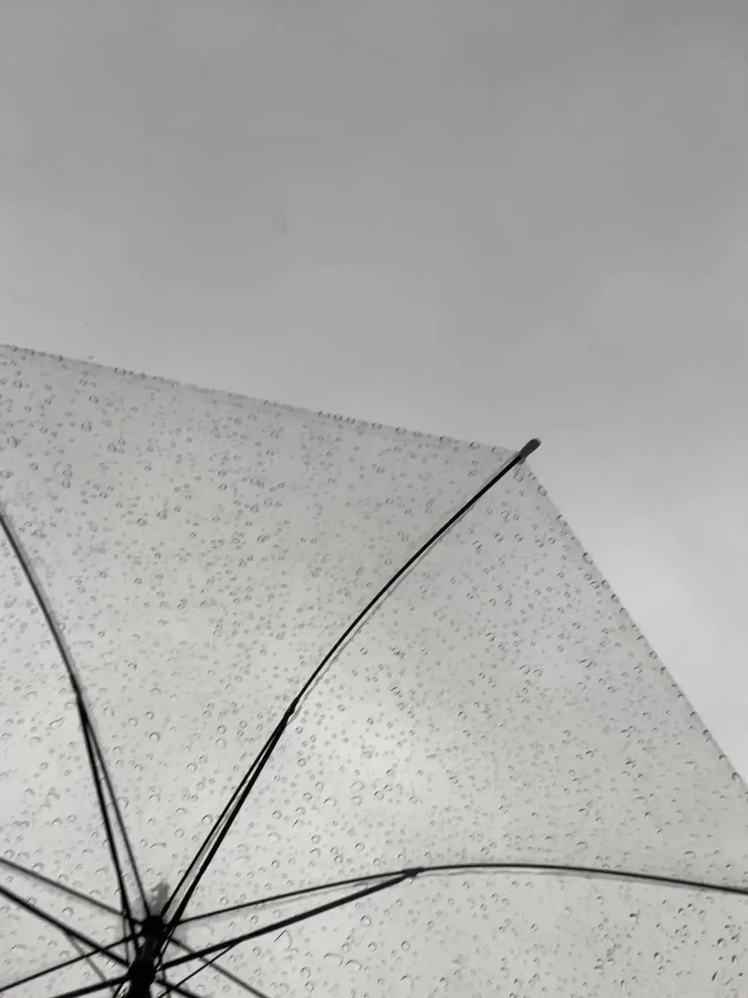 幸好没有一个人很爱我 这样我孤独的时候也不会太想一个人