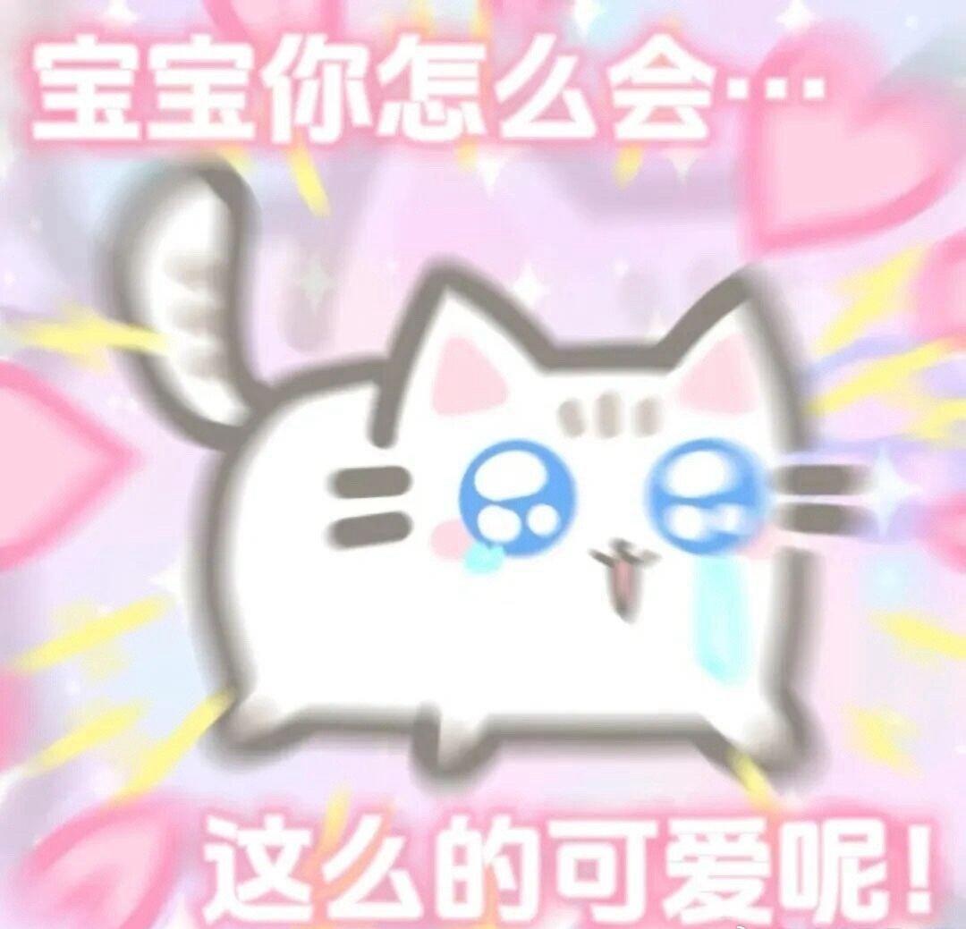 这座城市用无数个细节，让无声的世界也能感受到震耳欲聋的善意与关怀