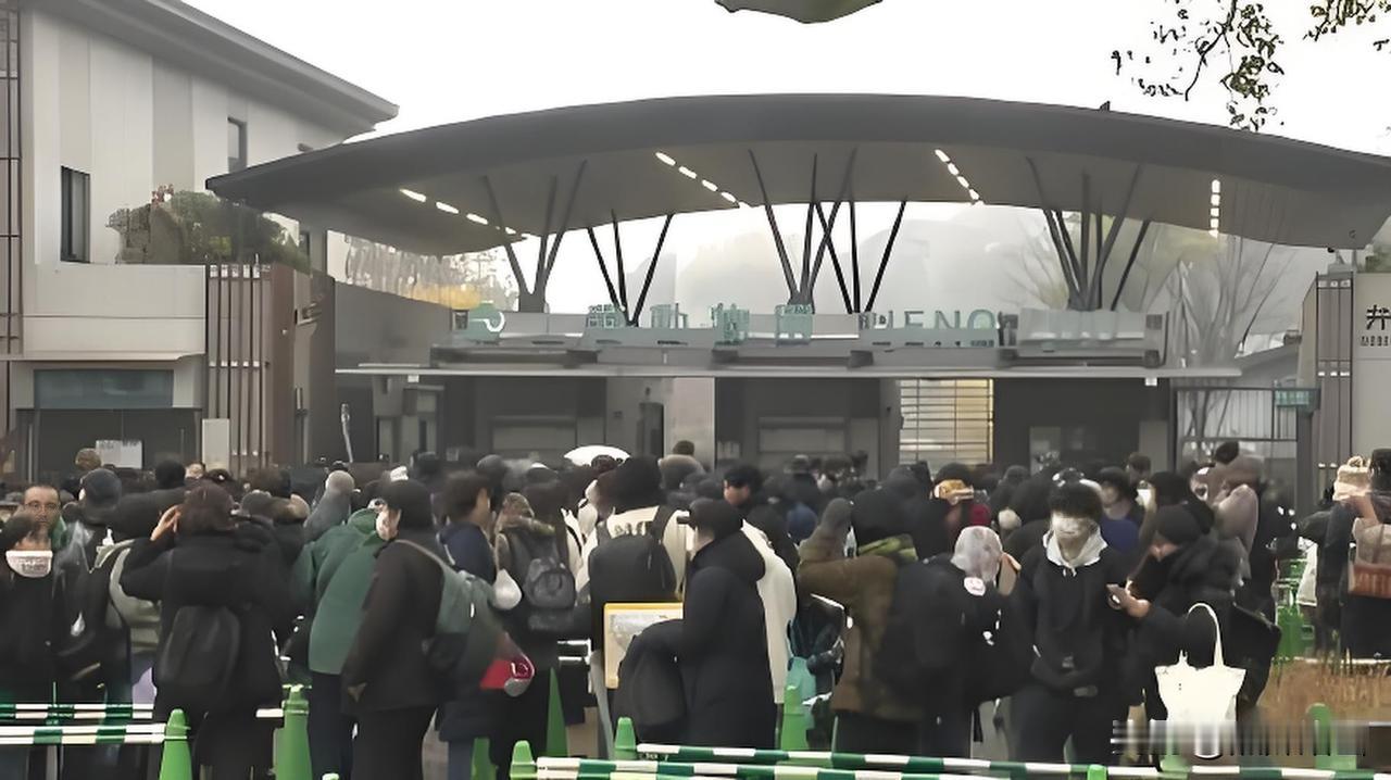 。
 
一、喜爱有多深（核心表现）
 
- 全民狂热：1972年“康康”“兰兰”