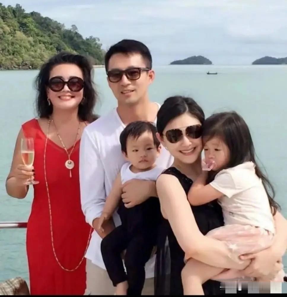 大S当年千不该万不该，不应该阻止张兰女士看孩子的，毕竟一个老人再能赚钱，老了的愿