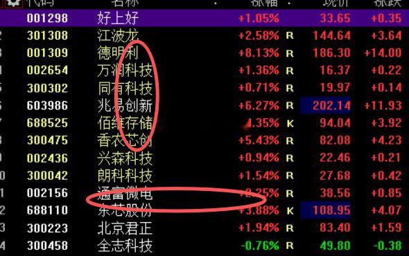 存储芯片说很多次了吧，熟悉吧？还有固态电池，储能这些是不是也很熟悉，我是不是天天