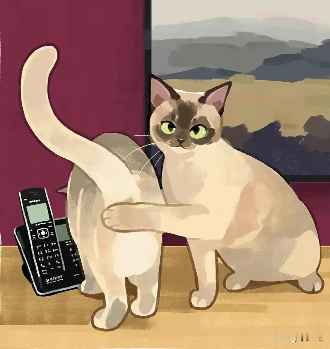 男女相处
爱发小作文的那个人
爱发语音60秒的那个人
是低位是输家
情绪上头长篇