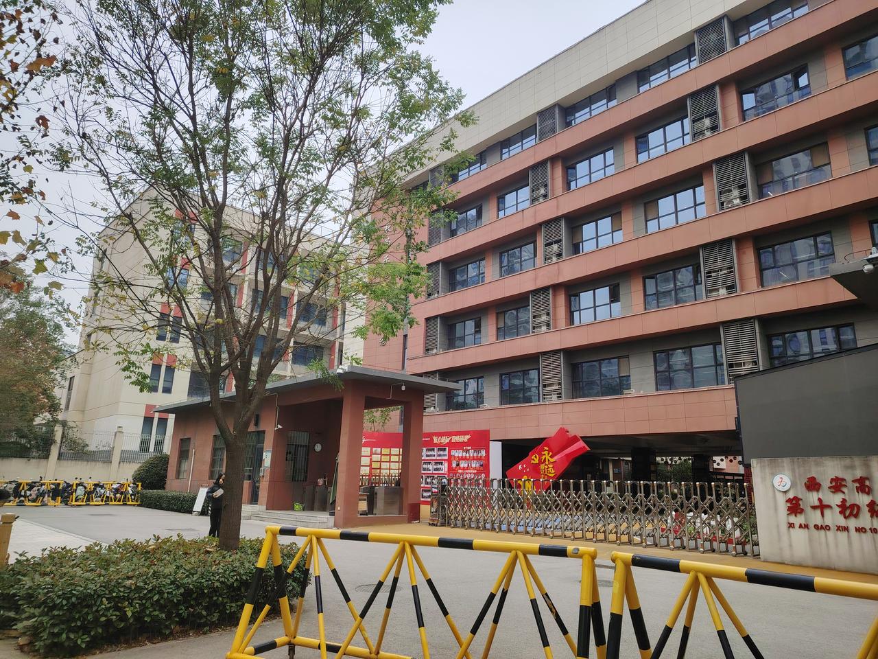 名词式生活犹如一潭死水，停滞不前，缺乏新鲜感；动词式生活则是灵动的溪流，潺潺流动