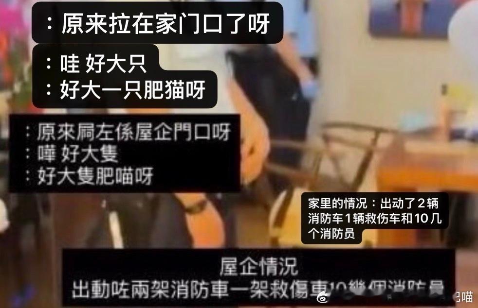 49643【心灵丑】全hk屙粑最臭的猫 