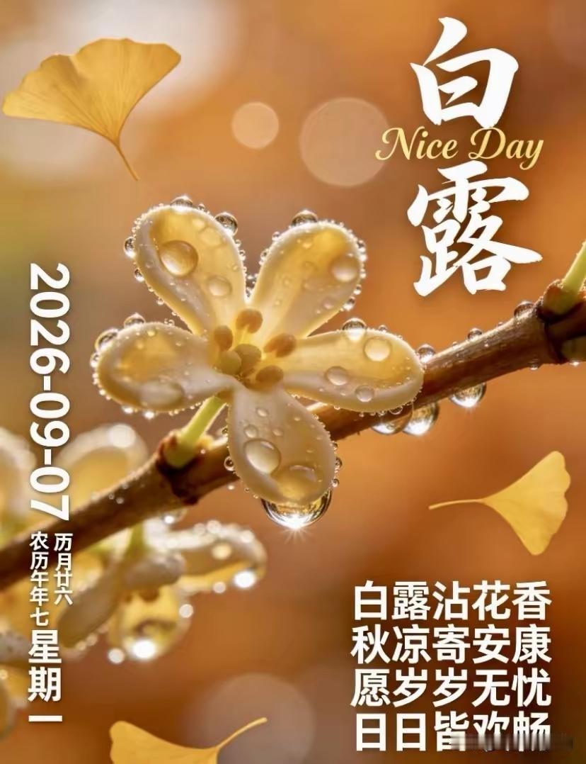 露珠晶莹的花朵，清新美好。