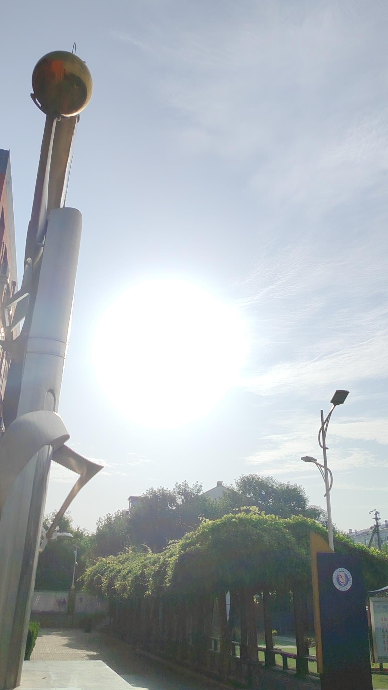 一张图证明夏天来了
