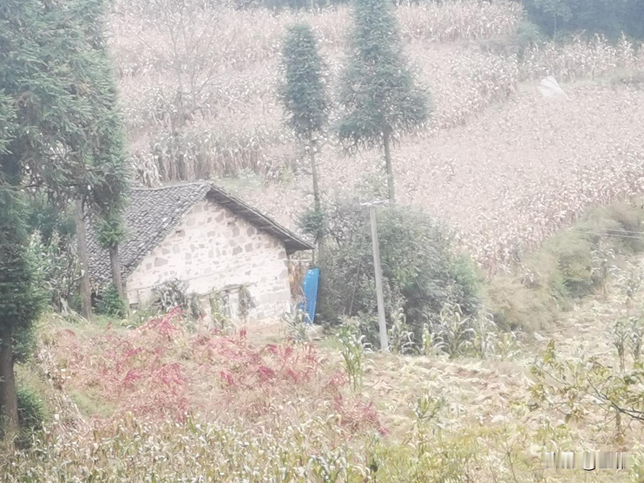 驻村的那些事儿有辛苦有快乐！最开心的是原生态的生活，清新空气和美丽风光！驻村生活