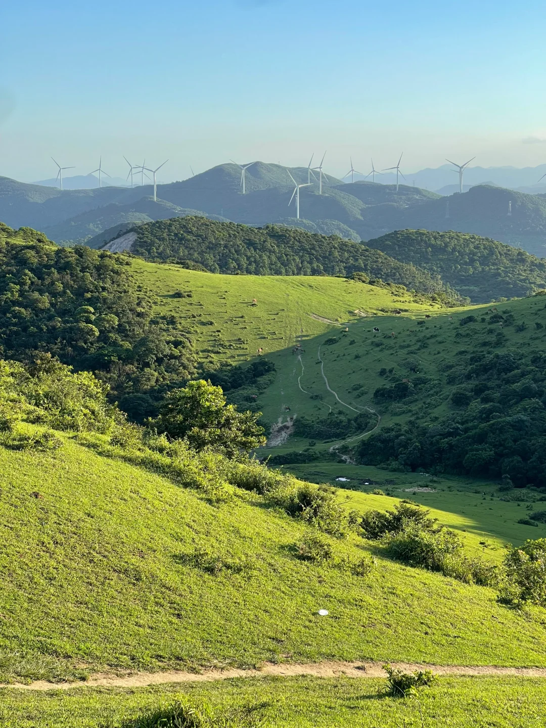 新疆太远 那就先带小狗来大姆山 live！