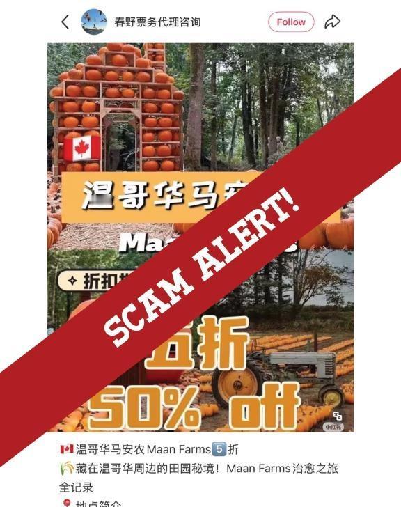 ⚠️ 诈骗警告 / SCAM ALERT ⚠️
本季我们不幸发现有一些账号冒充我