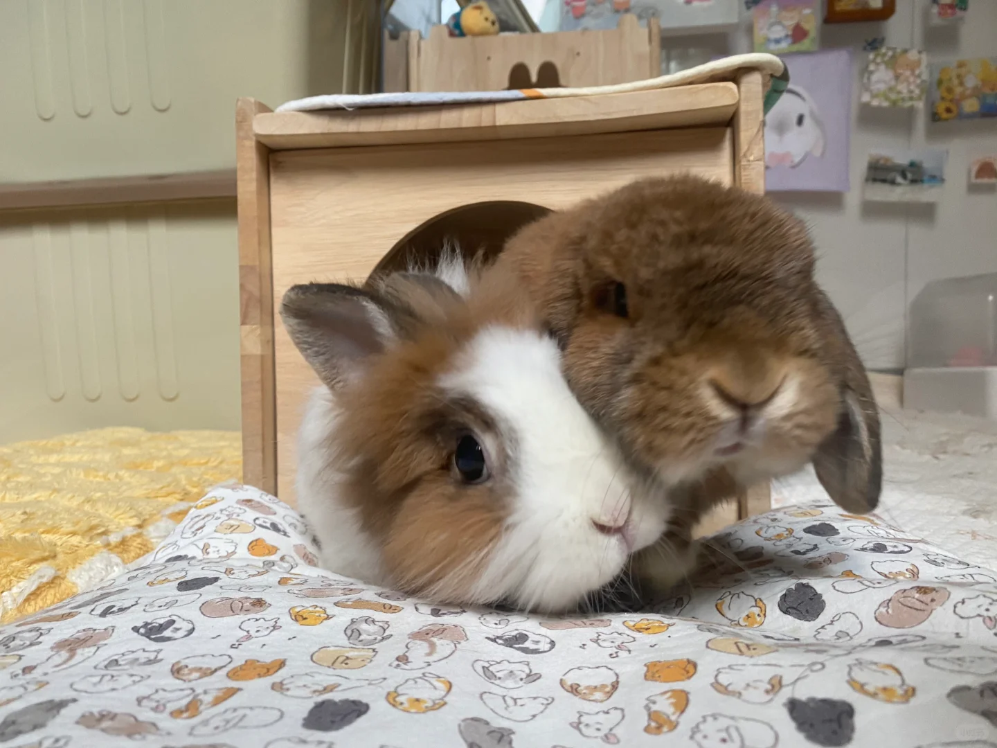 有好吃的？