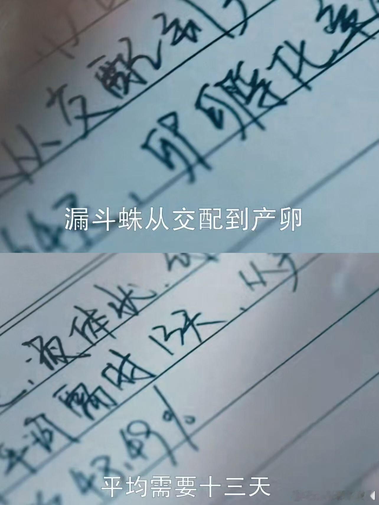 上辈子被蜘蛛抓这辈子抓蜘蛛《剥茧》齐思哲辨毒蛛破奇案超飒，罗云熙上辈子困蛛网这辈