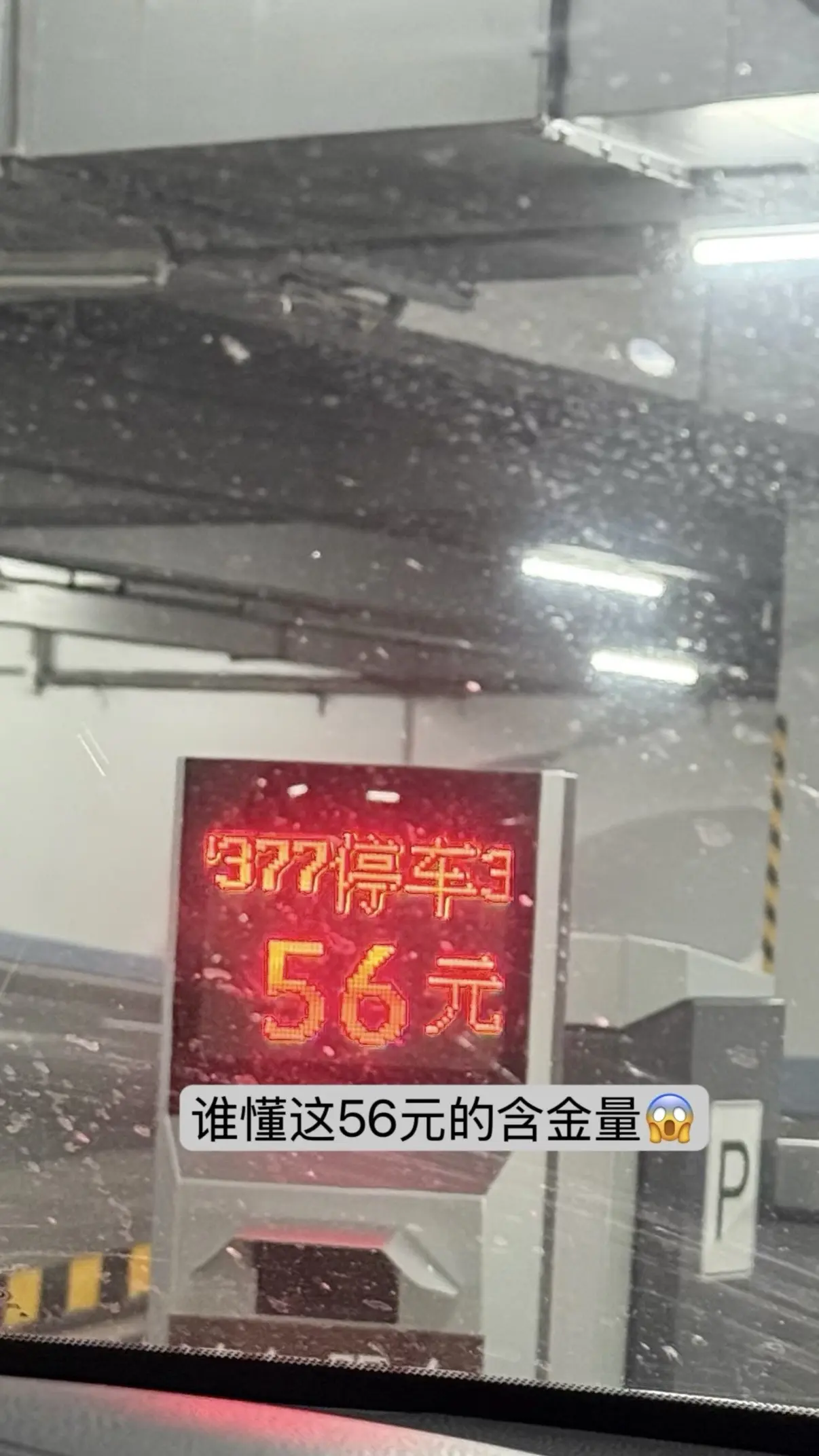 有你们在身边 怎么会不幸福捏