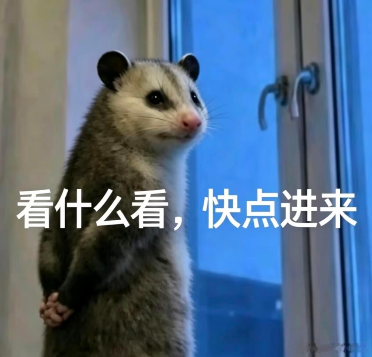 十日终焉齐夏先导片花十日终焉明日有齐夏先导片的意思吗？站位站位！ 