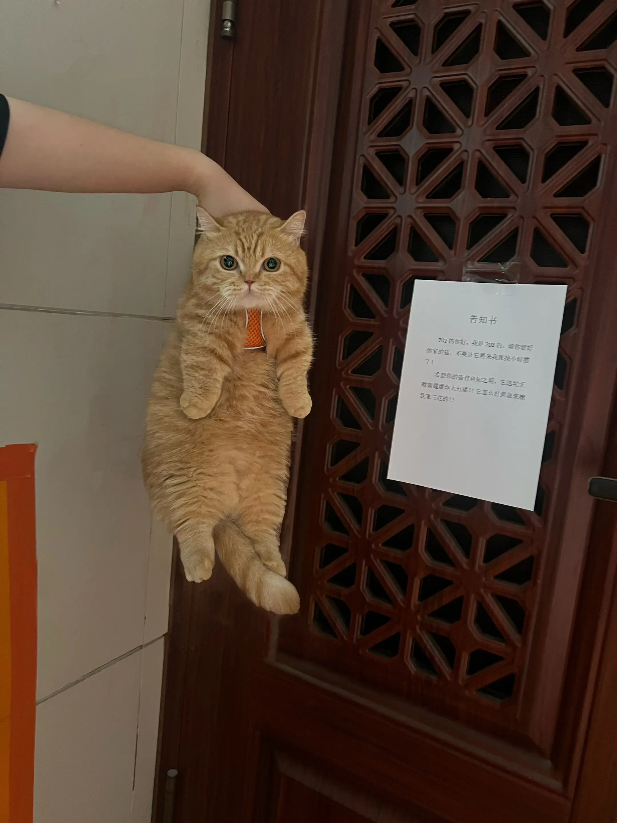 马上走开 不要回来。绝望又丢人
