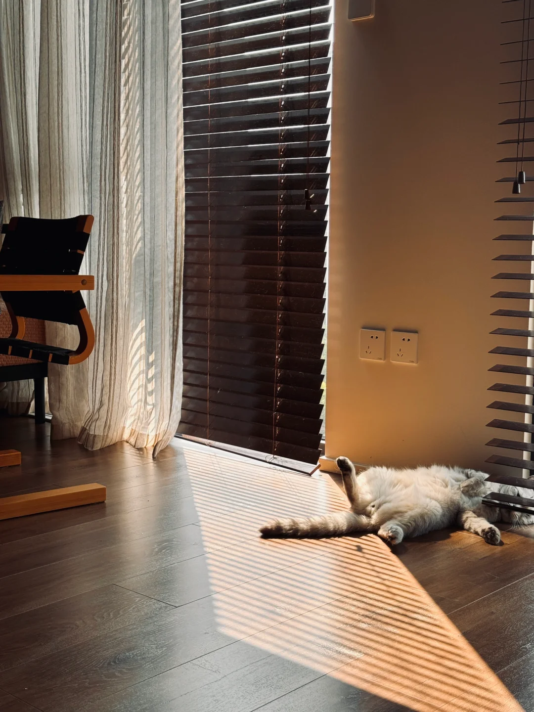 56平一人居｜入住两年，我的房子变成了家