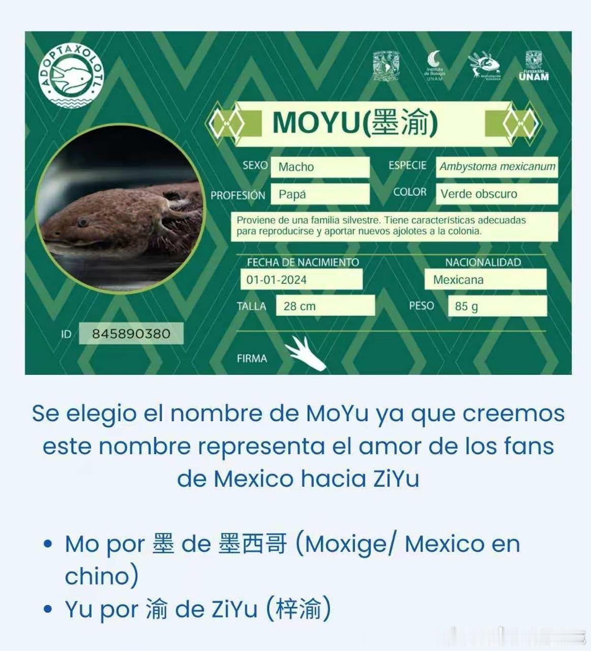 🐸不会暗恋摸鱼吧 