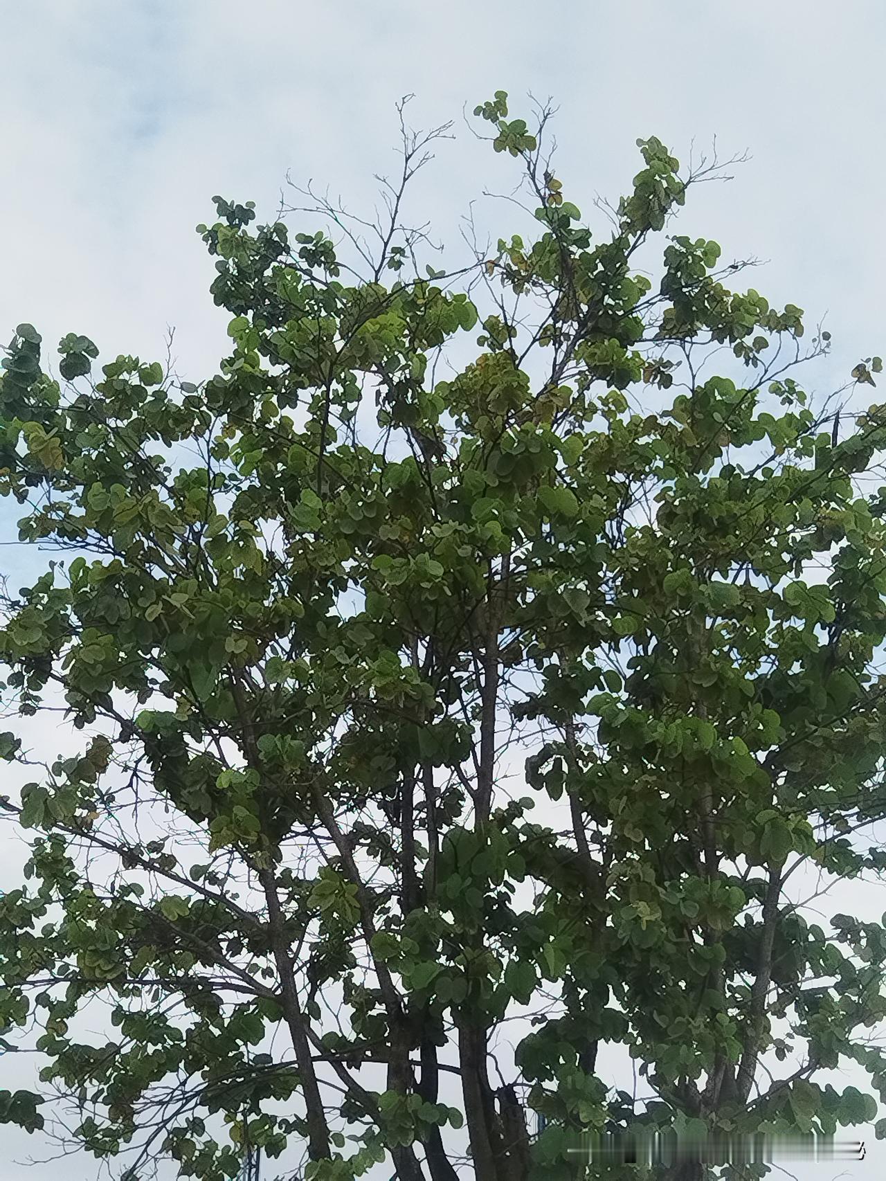 早安！朋友，开心快乐的接纳今天吧！无论昨天经历了多少风云变幻，今天都笑看风云处世