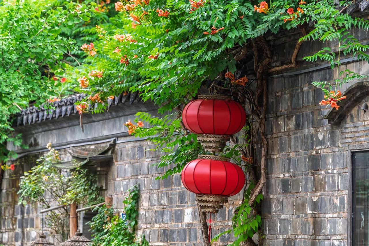 南京芥子园。南京芥子园邂逅江南园林的诗意 花窗藏尽江南韵 青砖花墙 春色与古建筑