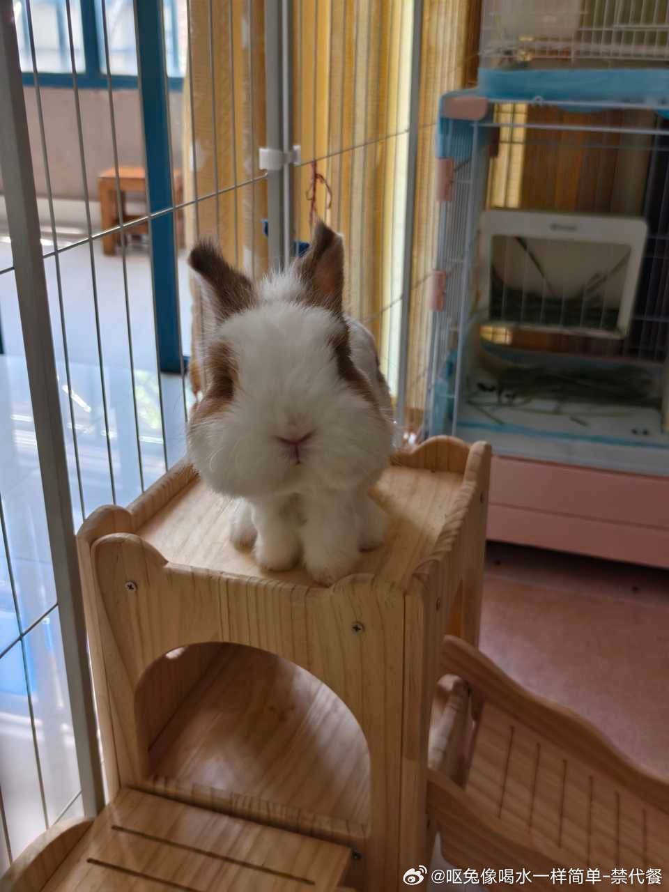 14334🐇【这种呆傻的屁股脸长得都一样】 