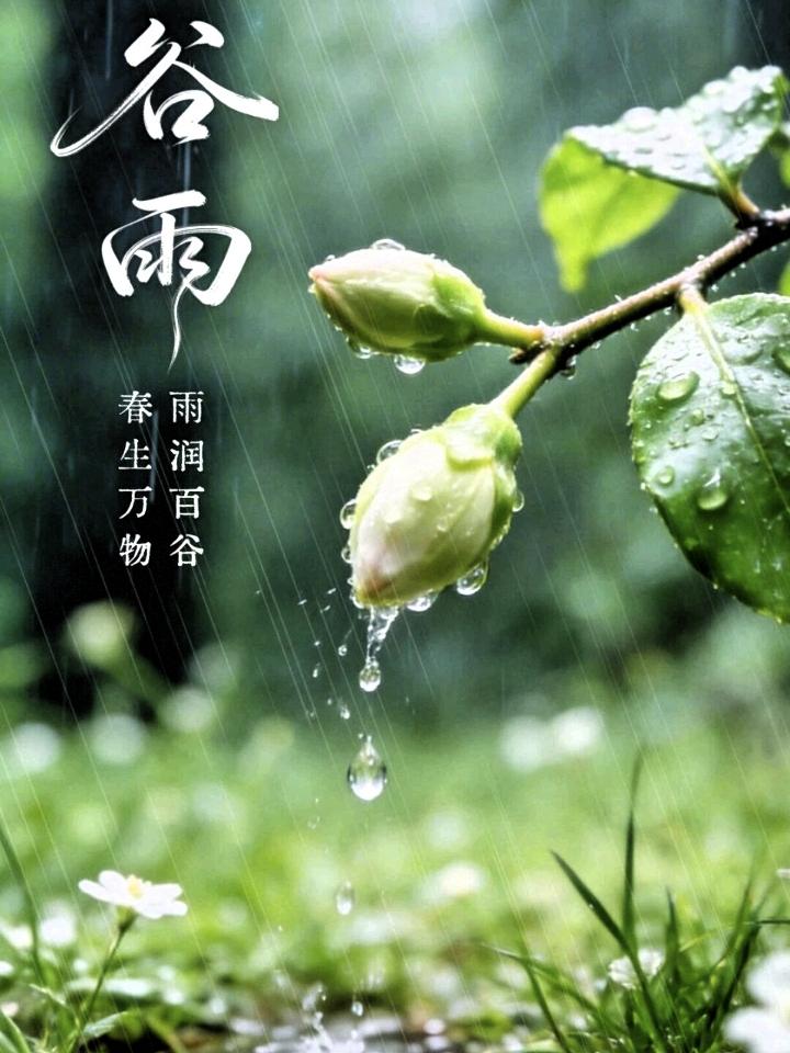 今天是4月20日，农历三月初四，迎来谷雨节气。
谷雨，是春季的最后一个节气，寓意