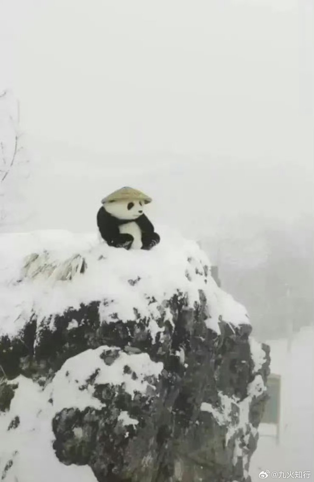 这种无差别杀跌其实没什么，反弹也很快。24年2月份的无差别杀跌比这还狠，去年4月