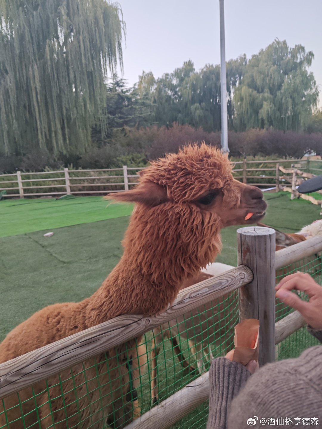 身份证在火车站永远刷不进去