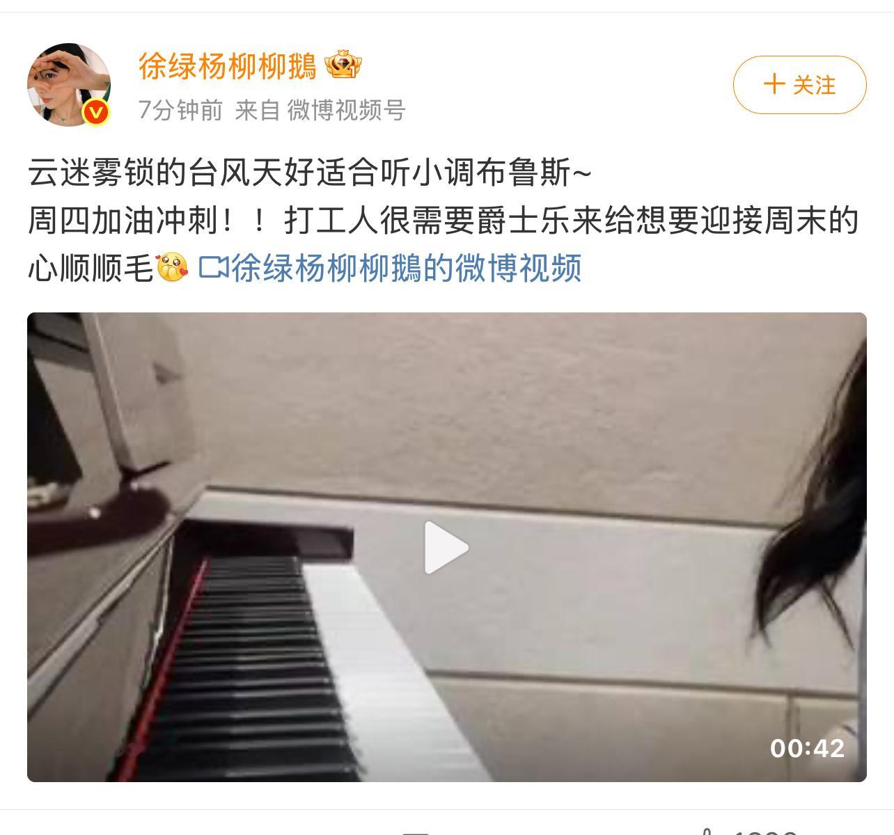 柳柳打工人很需要爵士乐 柳柳台风天好适合听小调布鲁斯 柳柳：台风天好适合听小调布