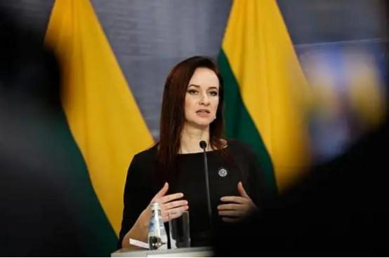 立陶宛被打疼，涉台表态变了，中欧班列已改道，200多条铁轨全拆
 
3 月 23