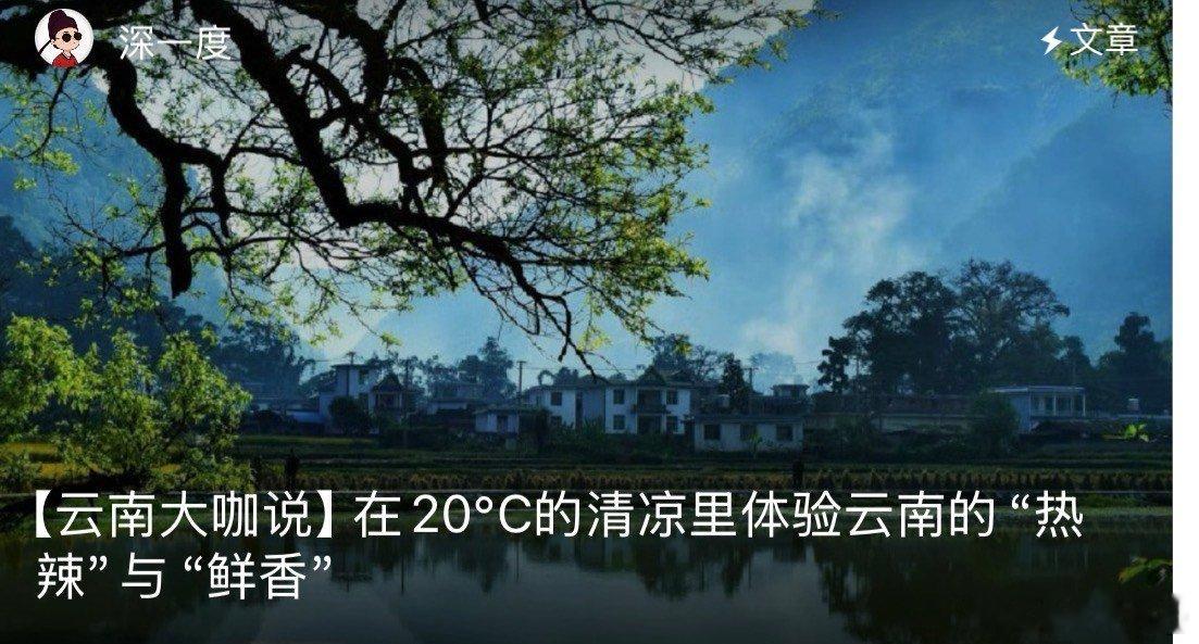 暑期游云南当别处的夏天被35℃的热浪裹挟，云南正以20℃的温柔接住所有远道而来的