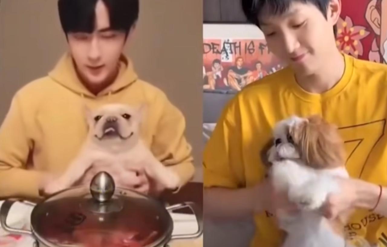 东施效颦这个词说的就是范小花吧，

看到好友在直播的时候晒小狗，

引来了很多网