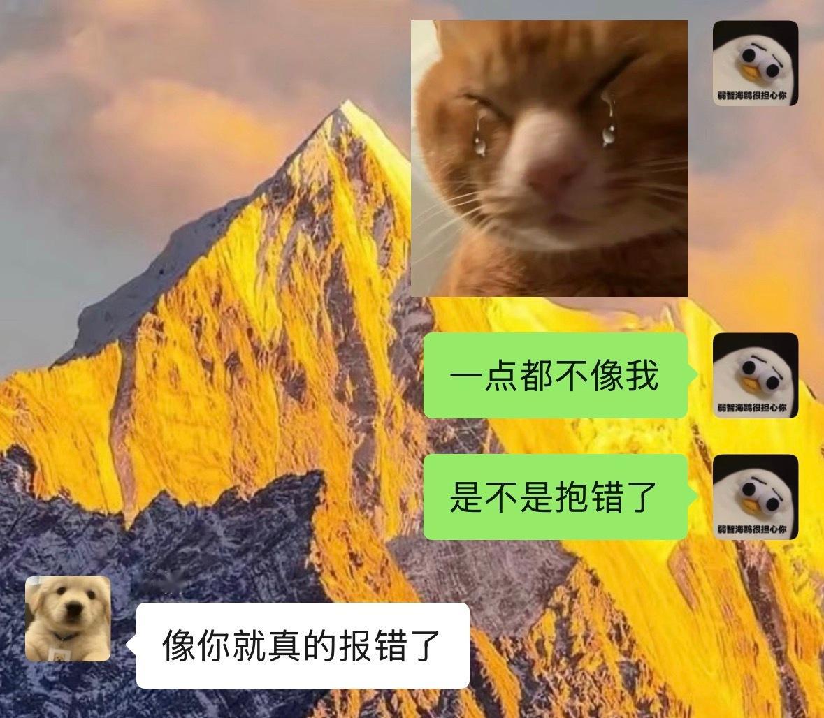 妹的小孩生了然后，， ​​​