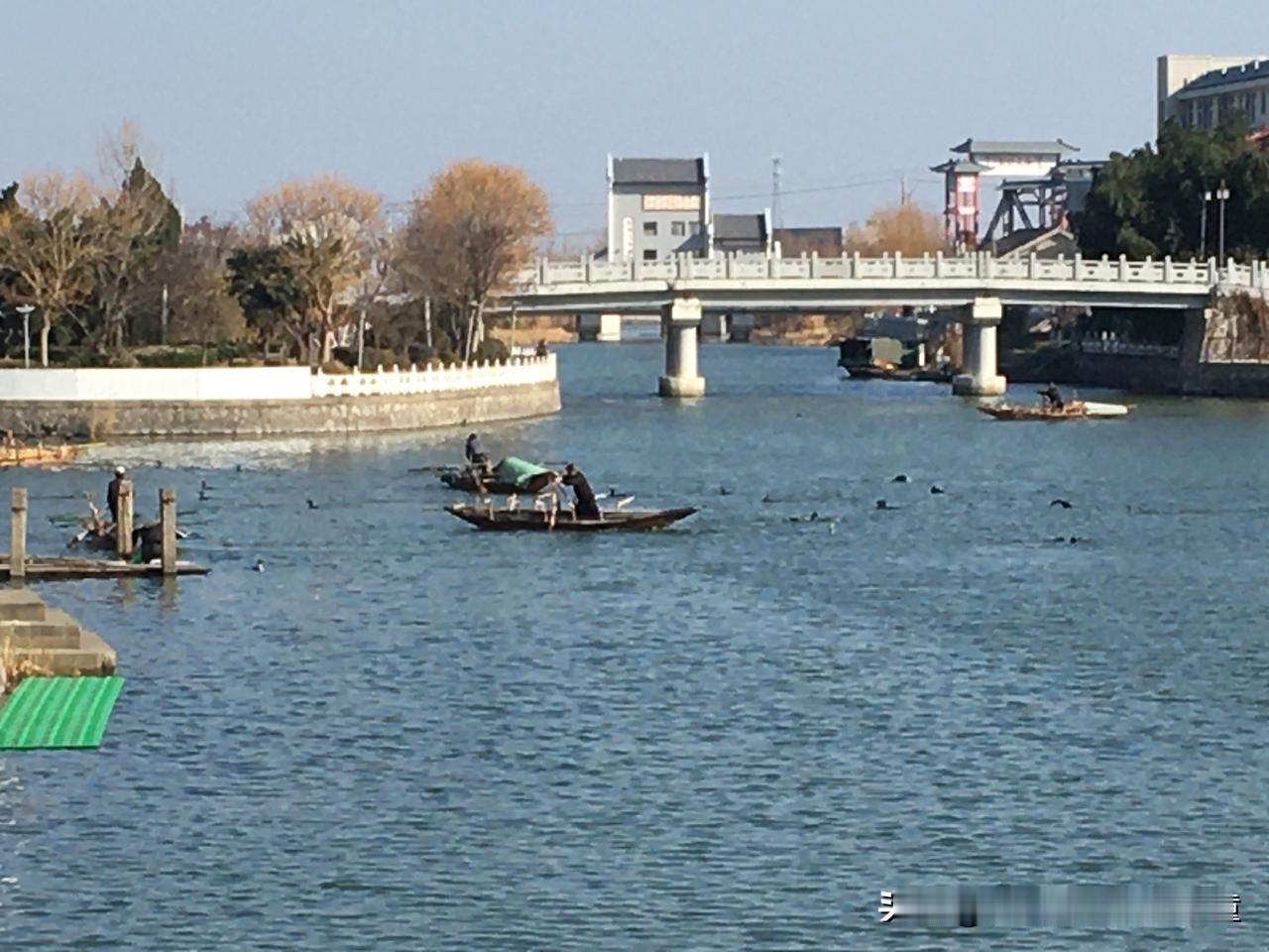 投资的关键在于保持定力。与其被市场的短期涨跌打乱节奏，不如专注发掘基本面扎实、具