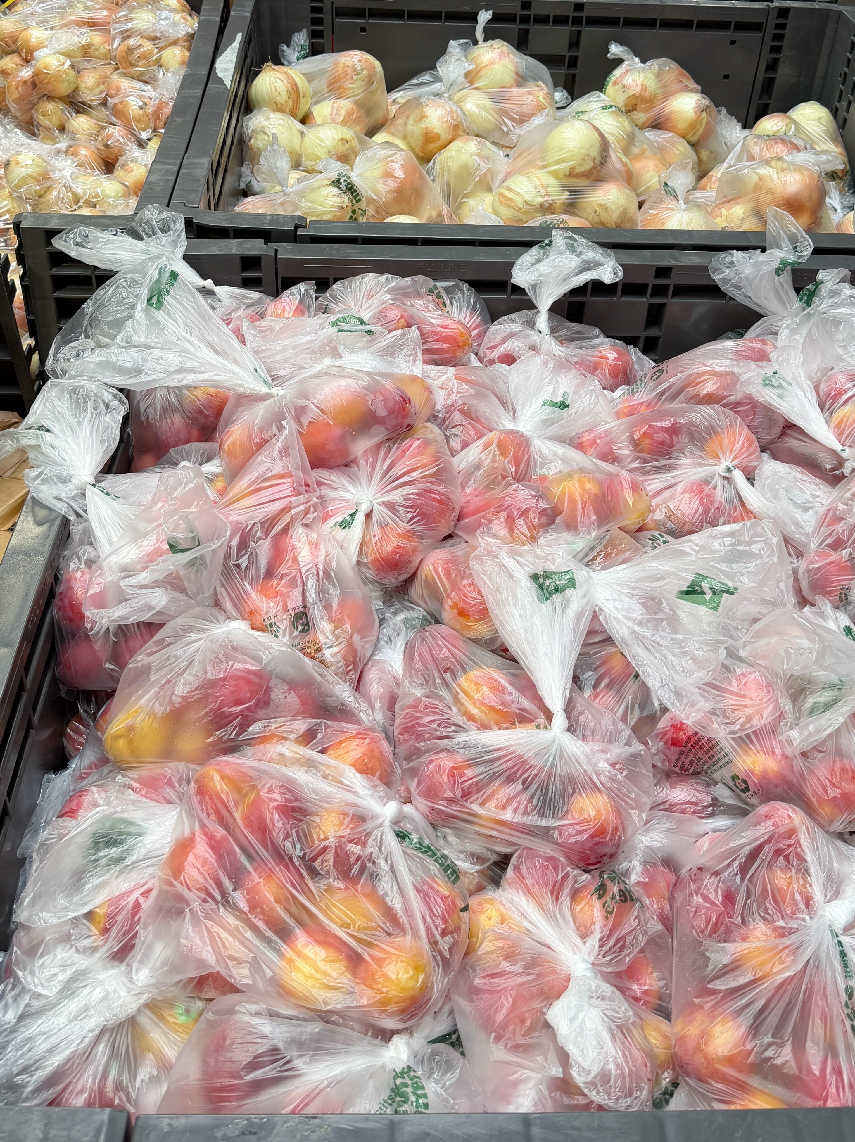 今天team event是去food bank做志愿者。food bank全部都