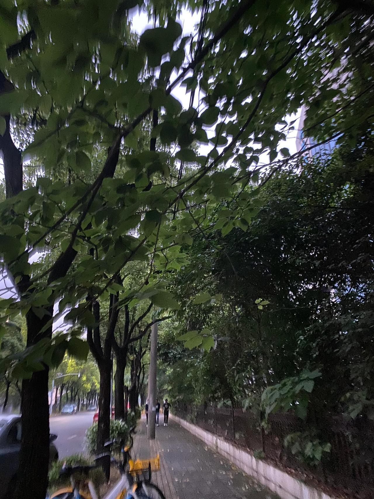 任性而活是人生最过瘾的事

蔡澜先生在他的《不如任性过生活》这本书里说，任性而活