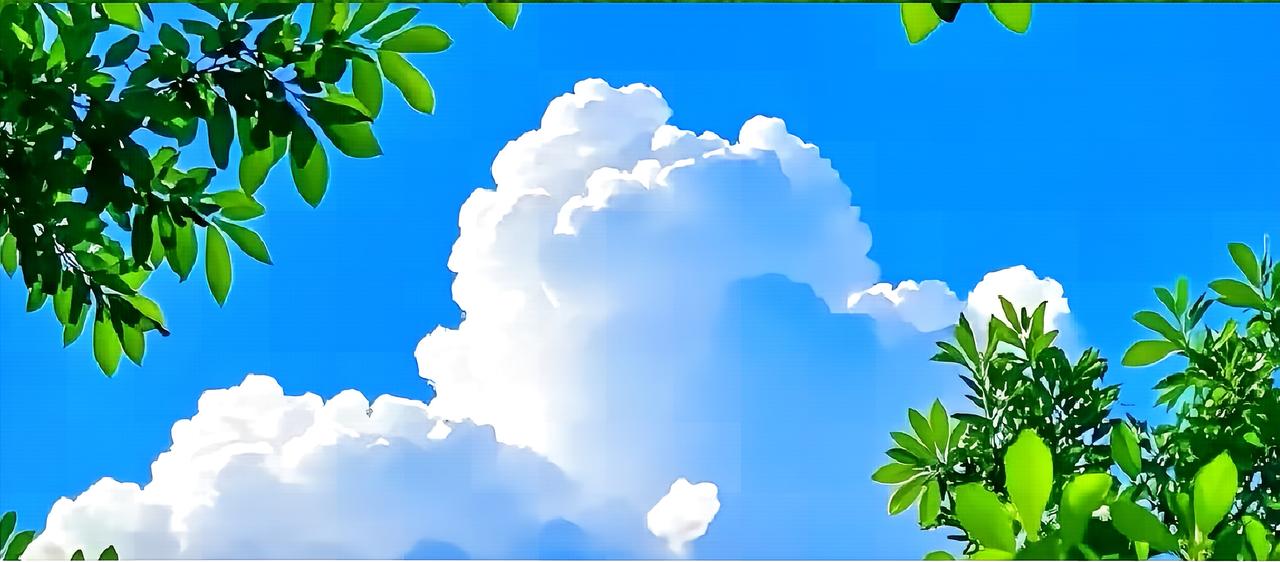 人的一生最大的财富是什么?这辈子最大的财富，就两个字：健康。身体一垮，啥都白搭，