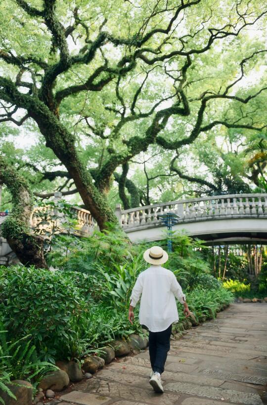 佛山！这个公园太有生命力🌳了！远点也值得😜