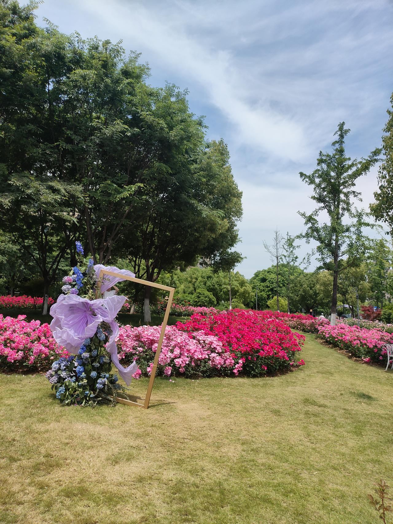 相册里的花花草草