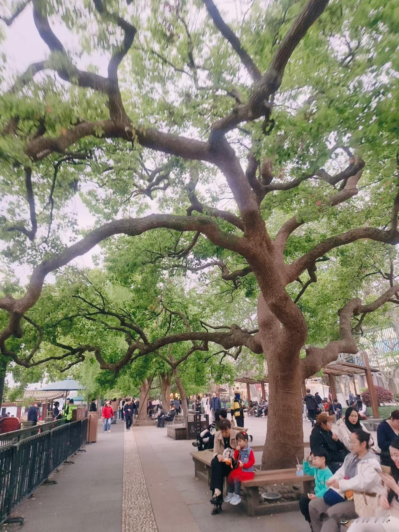 人要是没脸真的是天下无敌

我家后院的大婶自打我认识她开始就手脚不干净并且有生活